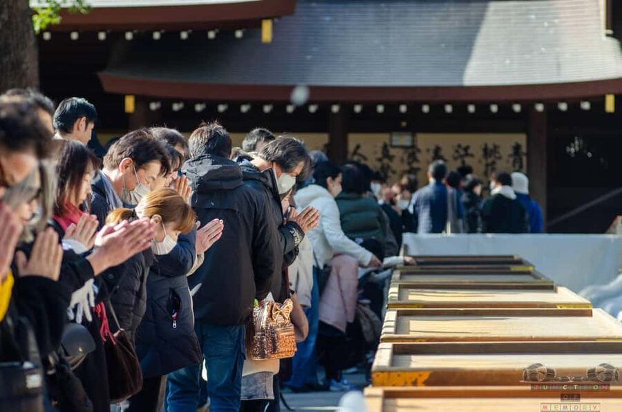 Tokyo: Meiji Jingu, Harajuku, Shibuya, and Shijuku Tour - Timing, walking, and practical limits