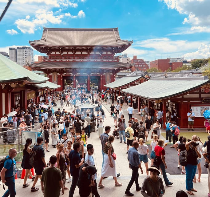 Tokyo: Meiji Jingu Shrine and Shinto Culture Walking Tour - Key points at a glance
