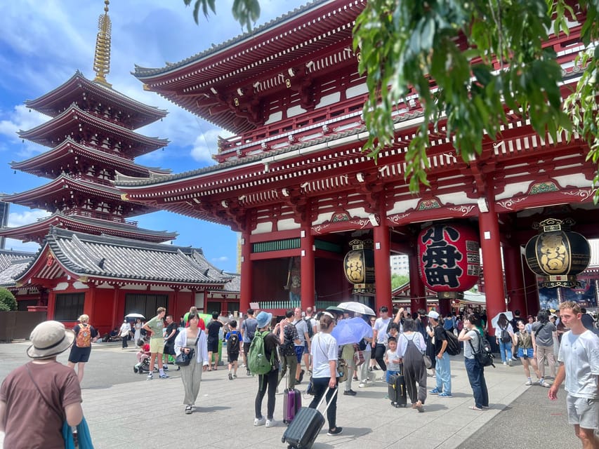 Tokyo: Meiji Jingu Shrine and Shinto Culture Walking Tour - Why Meiji Jingu works so well as a first Tokyo visit