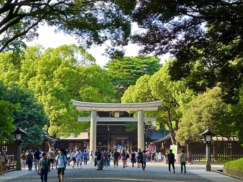 Tokyo: Meiji Jingu Shrine and Shinto Culture Walking Tour - One hour inside Meiji Shrine