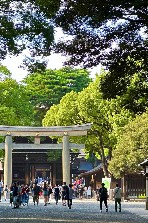 Tokyo: Meiji Jingu Shrine and Shinto Culture Walking Tour - Timing, walking, and the best place in your itinerary