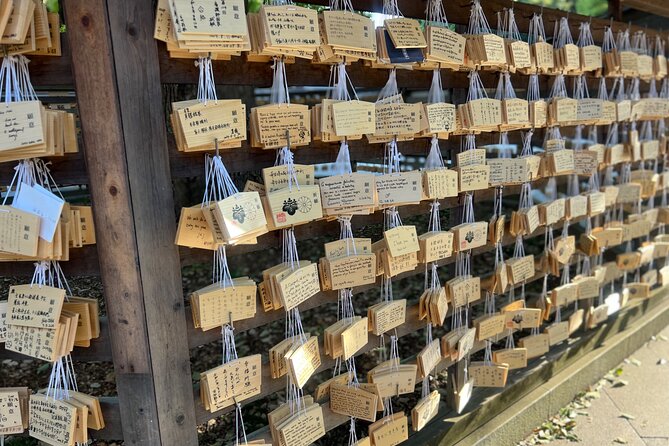 Tokyo: Meiji Shrine and Shinto Culture Walking Tour - What the two-hour route actually gives you
