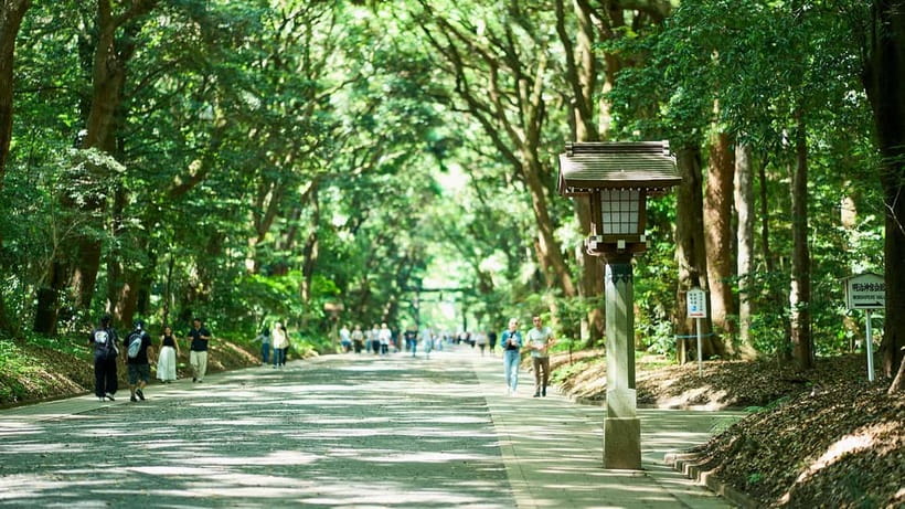 Tokyo: Meiji Shrine Walking Tour — Shinto & Imperial System - The sake barrels and the story behind them