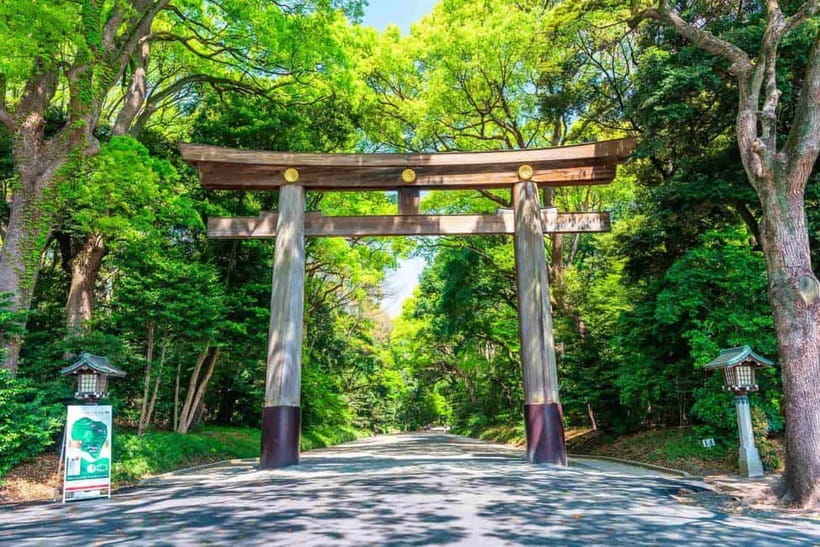 Tokyo Morning Tour: Meiji Shrine, Asakusa & Fish Market - Meeting at IKEA Harajuku