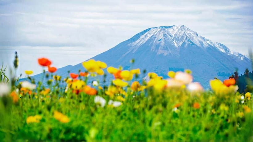 Tokyo: Mount Fuji 5th Station & Onsen Day Trip - Leaving Tokyo for Mt. Fuji