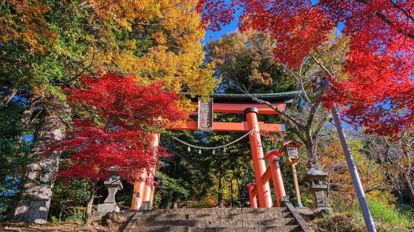 Tokyo: Mount Fuji 5th Station & Onsen Day Trip - What the guide and group experience is like