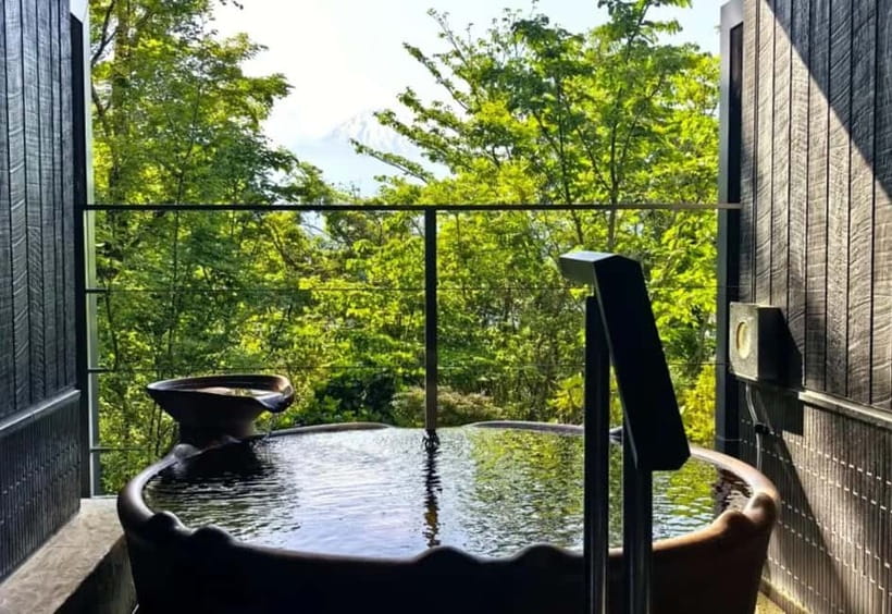 Tokyo: Mount Fuji 5th Station & Onsen Day Trip - Who will get the most from this day trip?