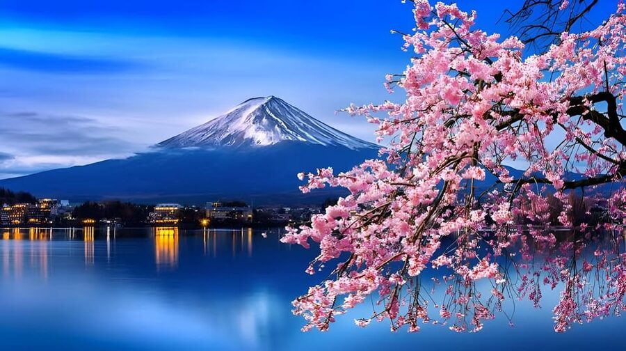Tokyo: Mount Fuji and Hakone private sightseeing tour - Arakurayama Sengen Park and the classic Fuji view