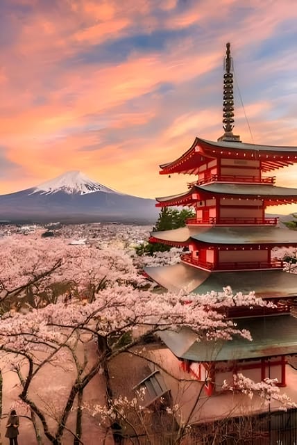 Tokyo: Mount Fuji and Hakone private sightseeing tour - Lake Ashi and the sightseeing cruise