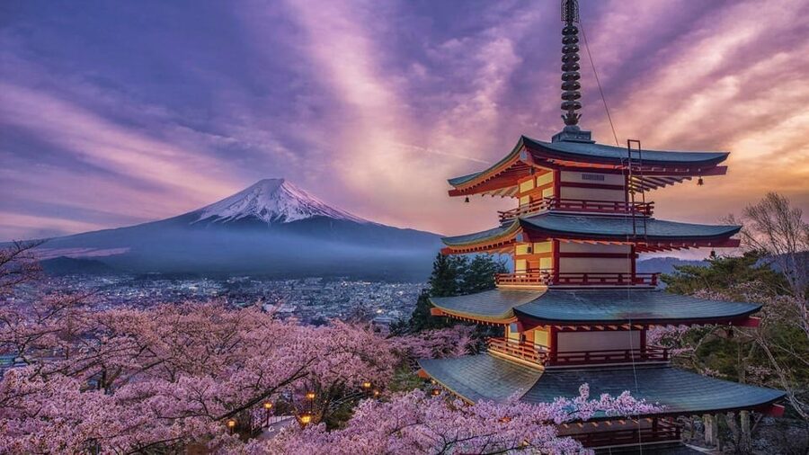 Tokyo: Mount Fuji & Hakone Private Tour with Guide - Cedar trees and red torii at Kitaguchi Hongu Fuji Sengen Shrine