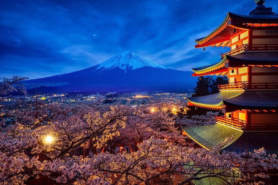 Tokyo: Mount Fuji & Hakone Private Tour with Guide - Chureito Pagoda and the postcard view
