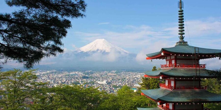 Tokyo: Mount Fuji Private Tour with Scenic Lunch Experience - A private route from Tokyo to Fuji country