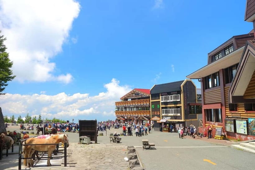Tokyo: Mt. Fuji 5th St, Gotemba & Hakone by Luxury Bus - Gotemba Premium Outlets: shopping with time to eat