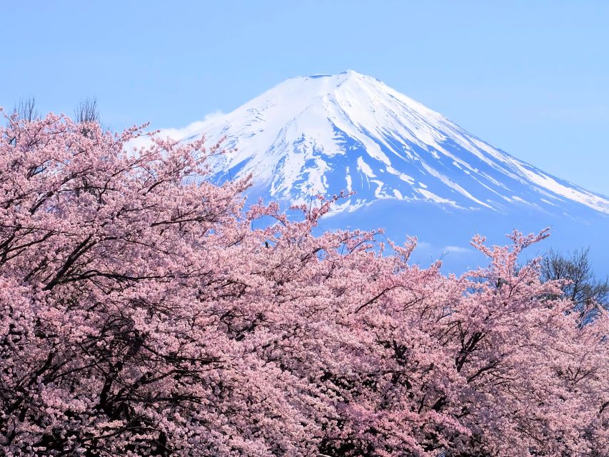 Tokyo: Mt. Fuji 5th Station & Hakone Cruise 1-Day Bus Tour - One packed day beyond Tokyo