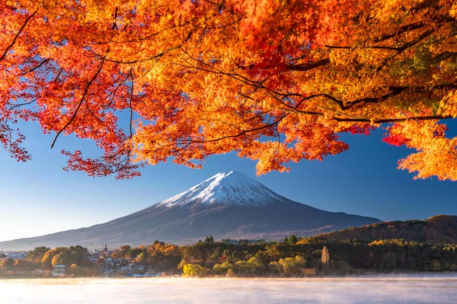 Tokyo: Mt. Fuji 5th Station, Kawaguchiko Tour w/ Cable Car - Key points to know before booking