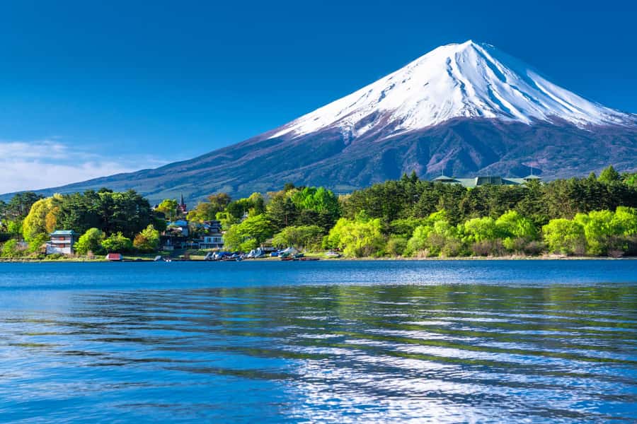 Tokyo: Mt. Fuji 5th Station, Kawaguchiko Tour w/ Cable Car - The bus ride, traffic, and the real length of the day