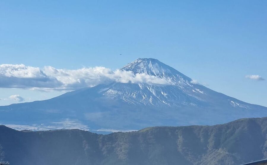 Tokyo: Mt. Fuji and Hakone Tour with Cable Car and Cruise - What the guides add to a packed schedule