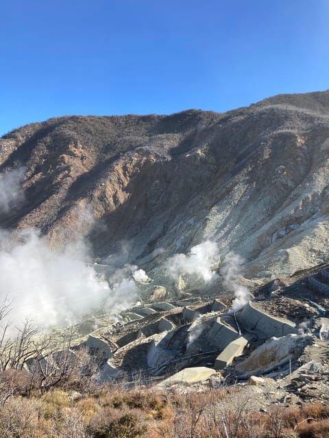 Tokyo: Mt. Fuji and Hakone Tour with Cable Car and Cruise - Is the route suitable for wheelchair users?