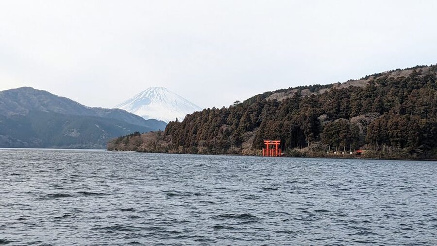 Tokyo: Mt. Fuji and Hakone Tour with Cable Car and Cruise - Who will enjoy this Mt. Fuji and Hakone day?