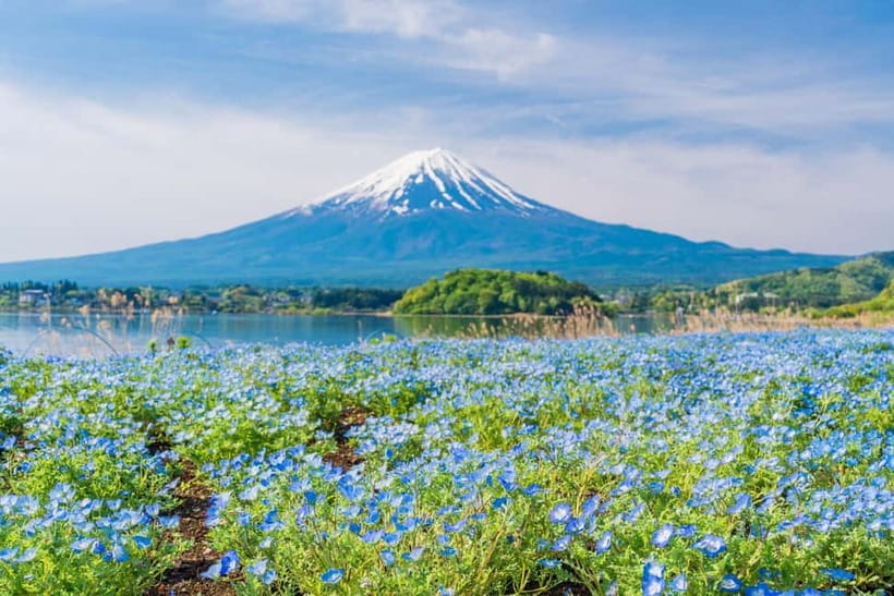 Tokyo: Mt. Fuji, Arakurayama Sengen Park, Oshino Hakkai Tour - Timing, comfort, and the long ride home