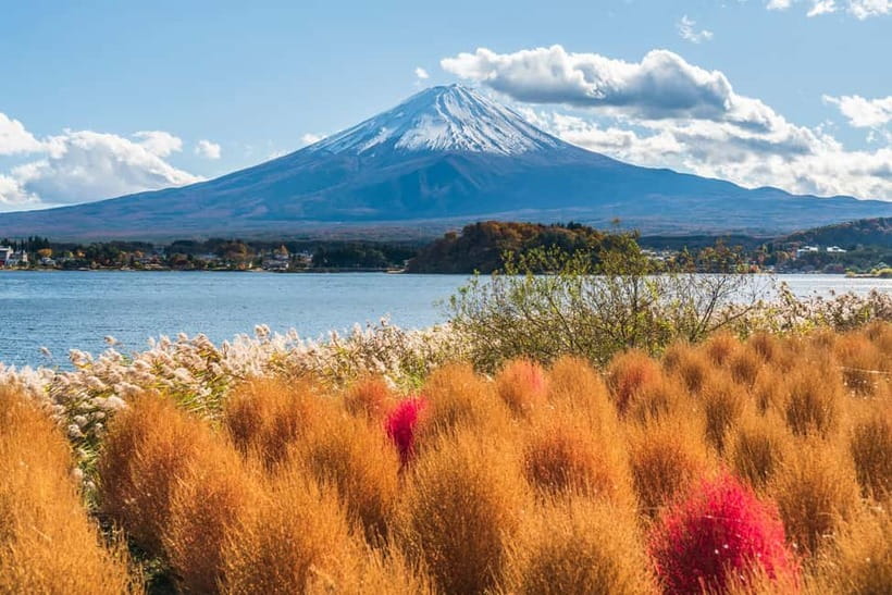 Tokyo: Mt. Fuji, Arakurayama Sengen Park, Oshino Hakkai Tour - Oishi Park and the weekday condition