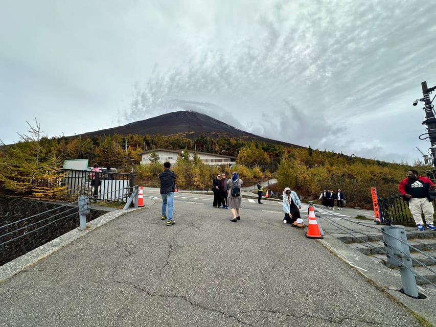 Tokyo:Mt Fuji & Hakone Day Tour with English Speaking Driver - What the drivers add to the day
