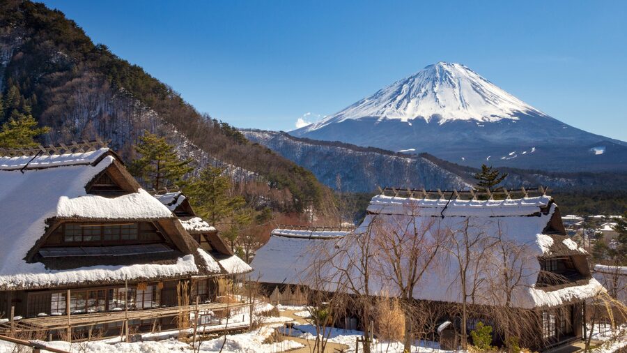 Tokyo: Mt. Fuji Hidden Gems and Aokigahara Forest Tour - Is $577 good value for five people?