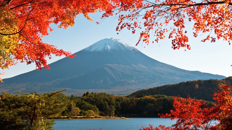Tokyo: Mt. Fuji Hidden Gems and Aokigahara Forest Tour - Why this Mt. Fuji day trip feels different