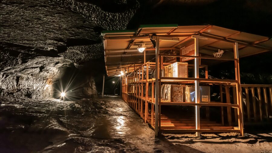 Tokyo: Mt. Fuji Hidden Gems and Aokigahara Forest Tour - Saiko Nenba-hama beside Lake Saiko