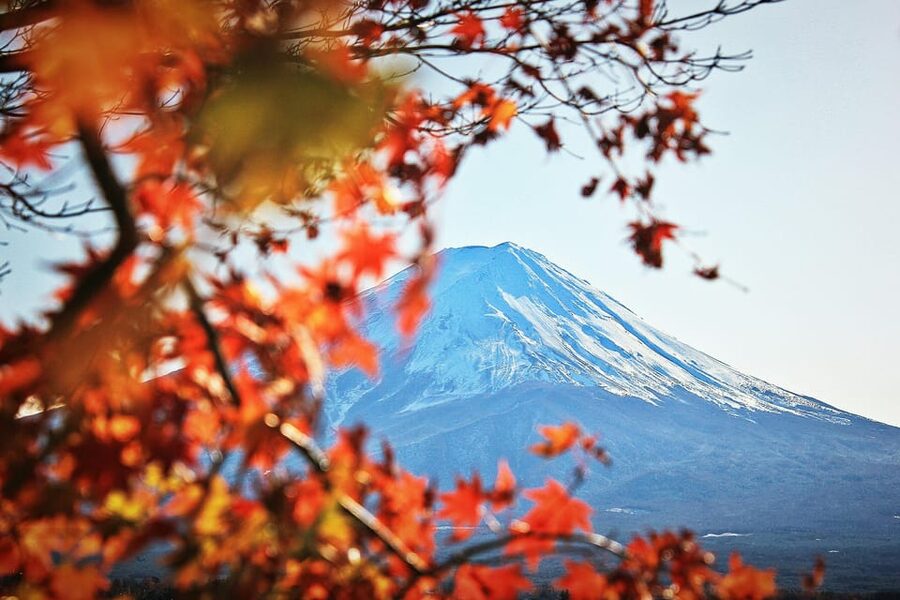 Tokyo: Mt. Fuji Hidden Gems and Aokigahara Forest Tour - Tatego-Hama Beach and Lake Motosuko