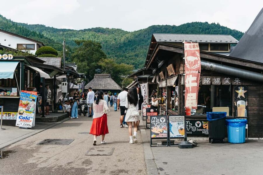 Tokyo: Mt. Fuji, Kamakura, Big Buddha, & Lake Ashi Day Trip - Traffic, timing, and the parts that require patience
