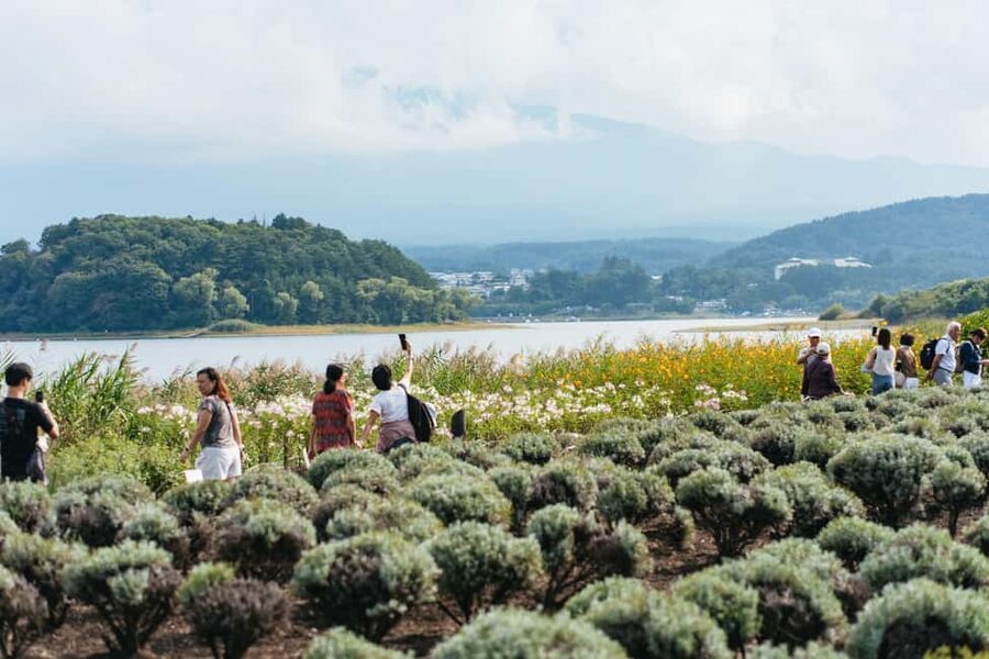 Tokyo: Mt. Fuji, Kamakura, Big Buddha, & Lake Ashi Day Trip - Why the $49 price can make sense