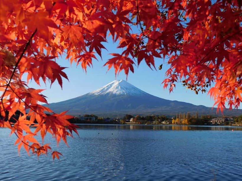Tokyo:Mt.Fuji,Kawaguchiko Oishi Park,Arakurayama Sengen Park - Key points to know before booking