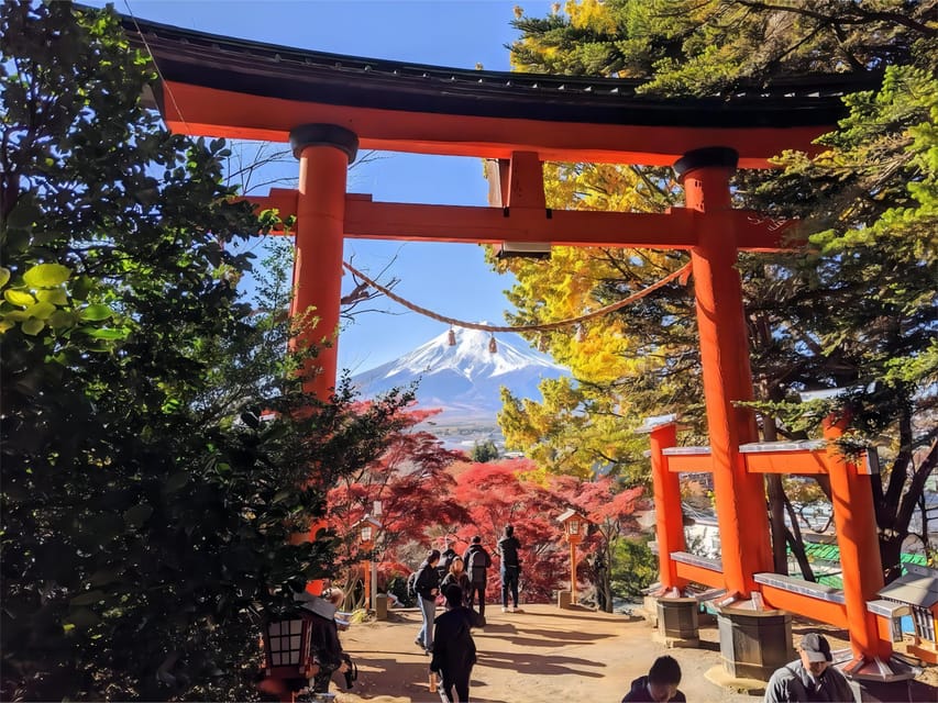 Tokyo: Mt Fuji Lake Kawaguchi & Yamanaka Hot Spring Day Tour - How good is the $68 value?