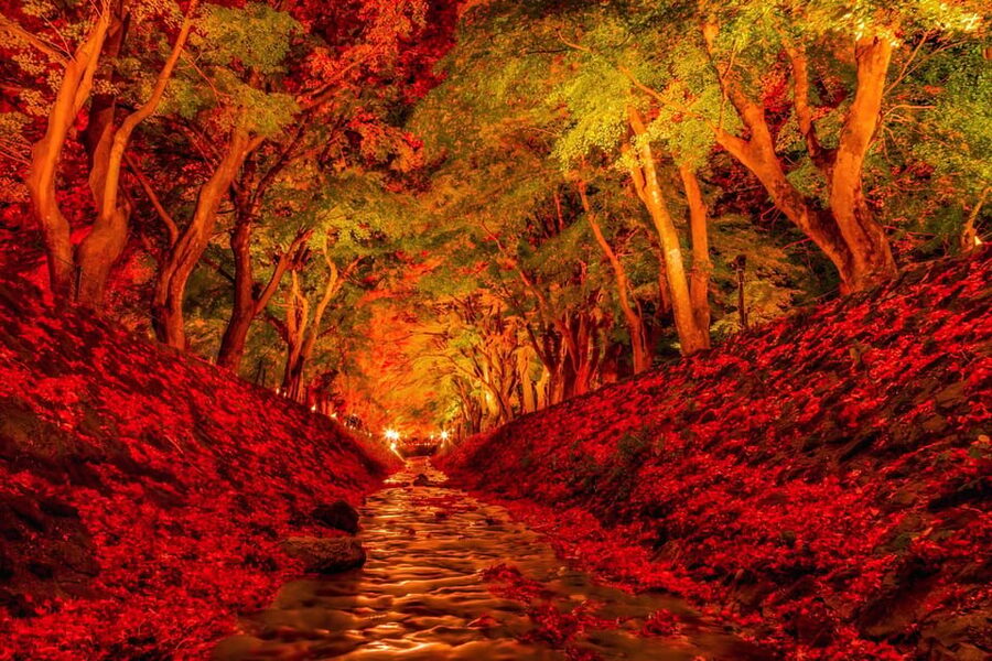 Tokyo: Mt Fuji Lake Kawaguchi & Yamanaka Hot Spring Day Tour - Timing, weather, and the pace of the day