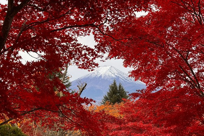 Tokyo: Mt.Fuji & Lake Kawaguchiko 1-Day Bus Tour w/Optional Lunch - Why this Mt. Fuji day trip works from Tokyo