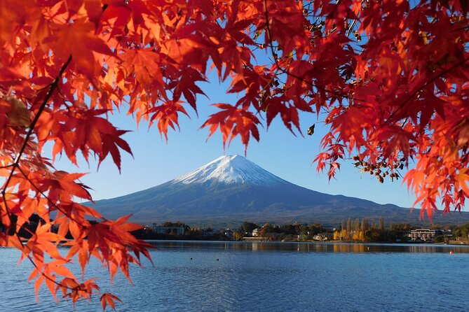 Tokyo: Mt.Fuji & Lake Kawaguchiko 1-Day Bus Tour w/Optional Lunch - Meeting the bus in Shinjuku