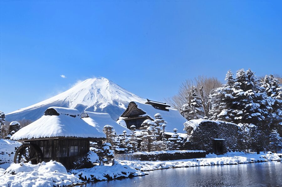 Tokyo: Mt Fuji Lake Kawaguchiko Tour & Arakuyama Sengen Park - Key points at a glance