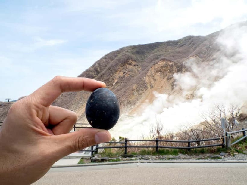 Tokyo: Mt. Fuji, Owakudani, Hakone Shrine, & Open-Air Museum - Why this Tokyo to Hakone day trip works