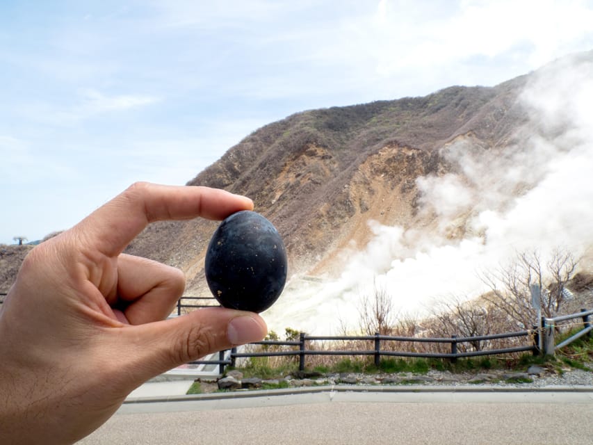 Tokyo: Mt. Fuji, Owakudani, Hakone Shrine, & Open-Air Museum - Guides, group comfort, and the road from Tokyo