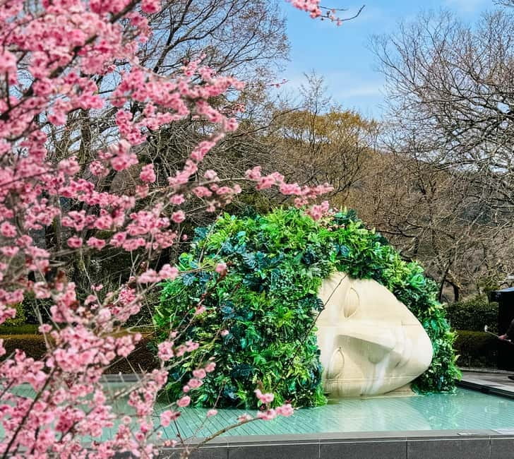 Tokyo: Mt. Fuji, Owakudani, Hakone Shrine, & Open-Air Museum - The Hakone Open-Air Museum: art with room to breathe