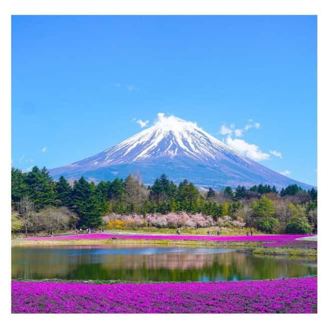 Tokyo: Mt Fuji Private Day Tour By English Driver Low Price - Lake Kawaguchi and Oishi Park