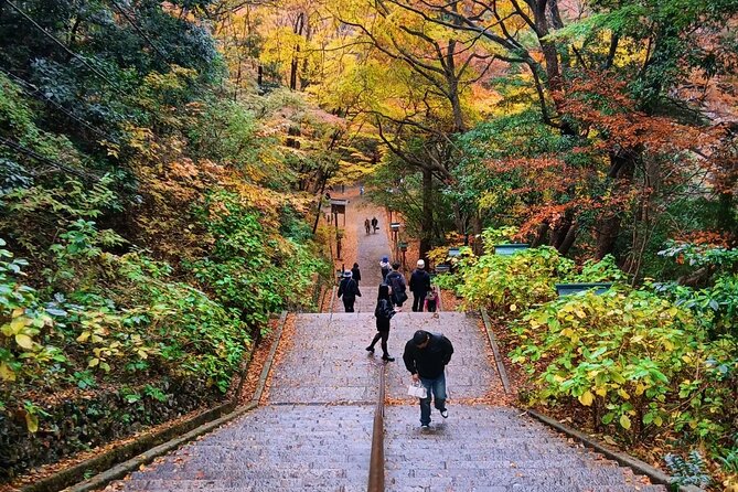 Tokyo: Mt Takao Tour with Ramen and Tattoo-Okay Hot Spring - Returning down the mountain
