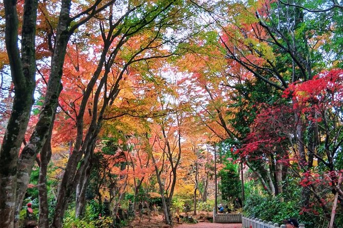 Tokyo: Mt Takao Tour with Ramen and Tattoo-Okay Hot Spring - Starting with the Takao 599 Museum