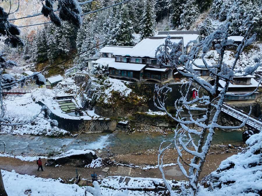 Tokyo/Nagano: private Tour with Snow Monkey Park & Temples - Key points at a glance