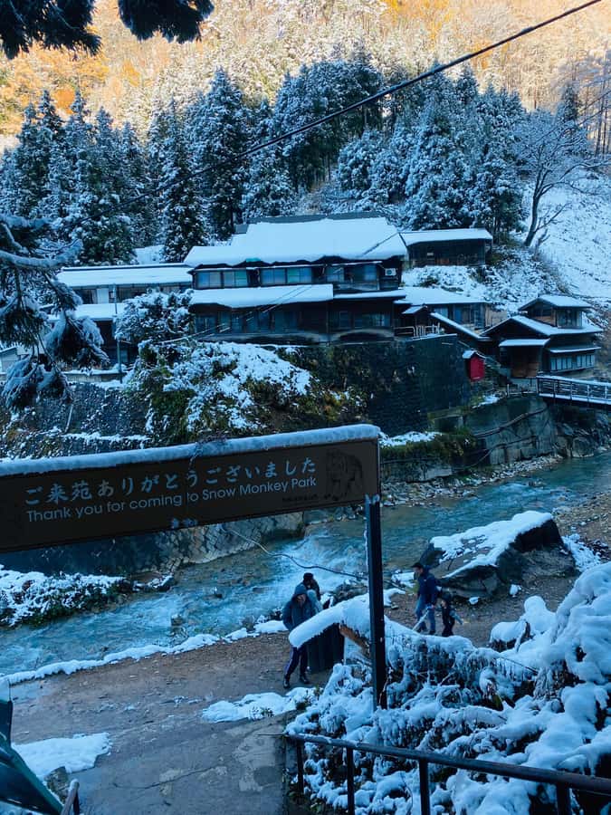 Tokyo/Nagano: private Tour with Snow Monkey Park & Temples - The real cost of a day trip from Tokyo
