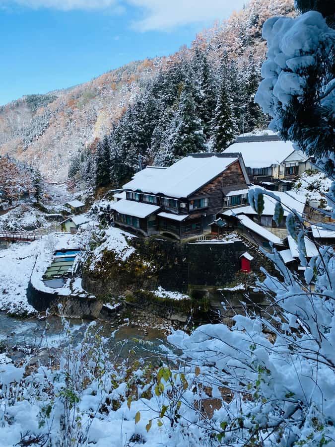Tokyo/Nagano: private Tour with Snow Monkey Park & Temples - Jigokudani Snow Monkey Park and the 25-minute forest walk