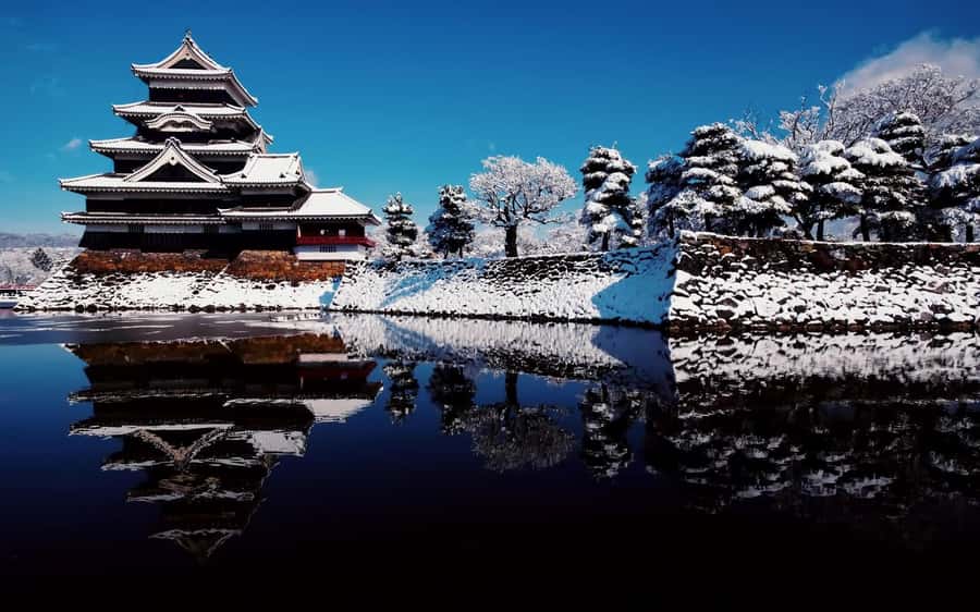 Tokyo/Nagano: private Tour with Snow Monkey Park & Temples - Matsushiro Castle Ruins and the historical pause