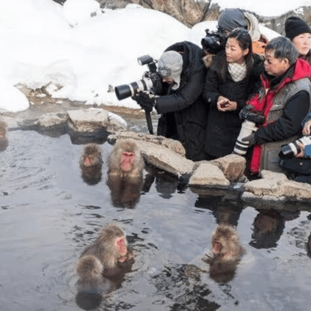 Tokyo: Nagano Snow Monkeys and Zenkoji Tour with Temples - Obuse brings smaller-town charm