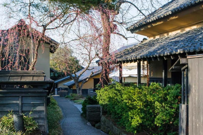 Tokyo: Nagano Snow Monkeys and Zenkoji Tour with Temples - Matsushiro Castle Ruins supply the history stop